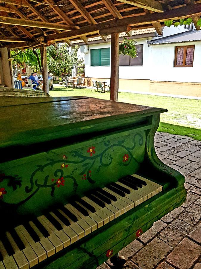Domacinstvo Cikic Zasavica Guest House Exterior photo